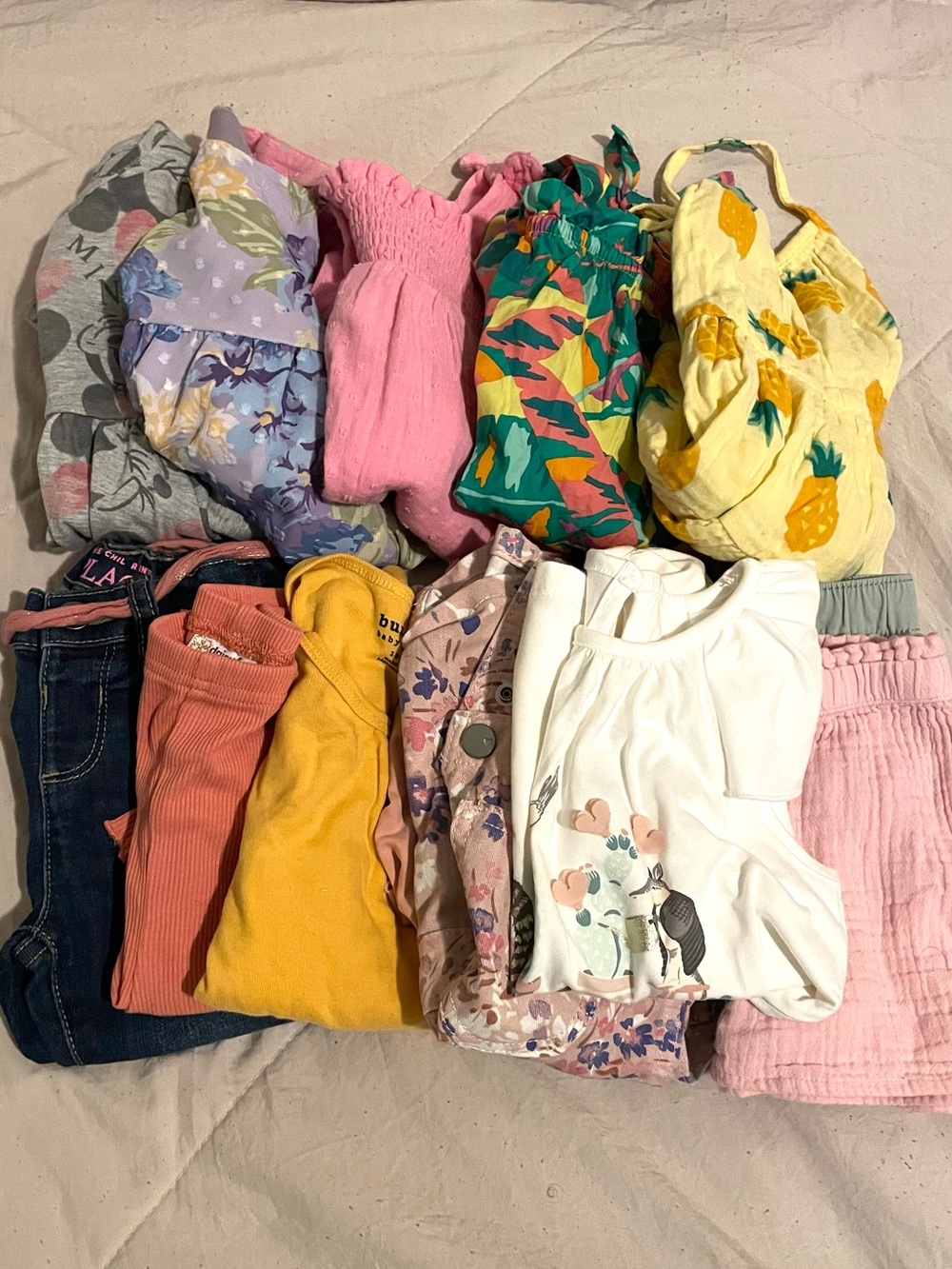 18-24M Girls Mixed Clothing Bundle